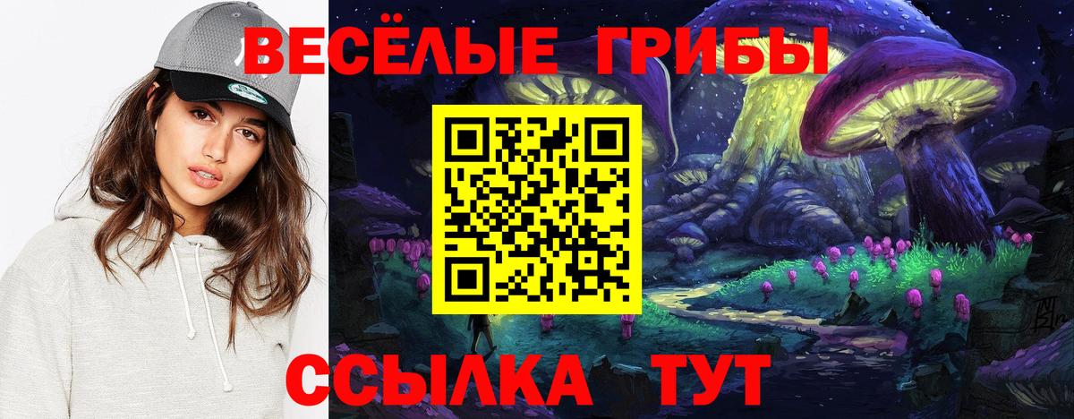Красноярск  Галлюциногенные грибы Cubensis  Вход с VPN 