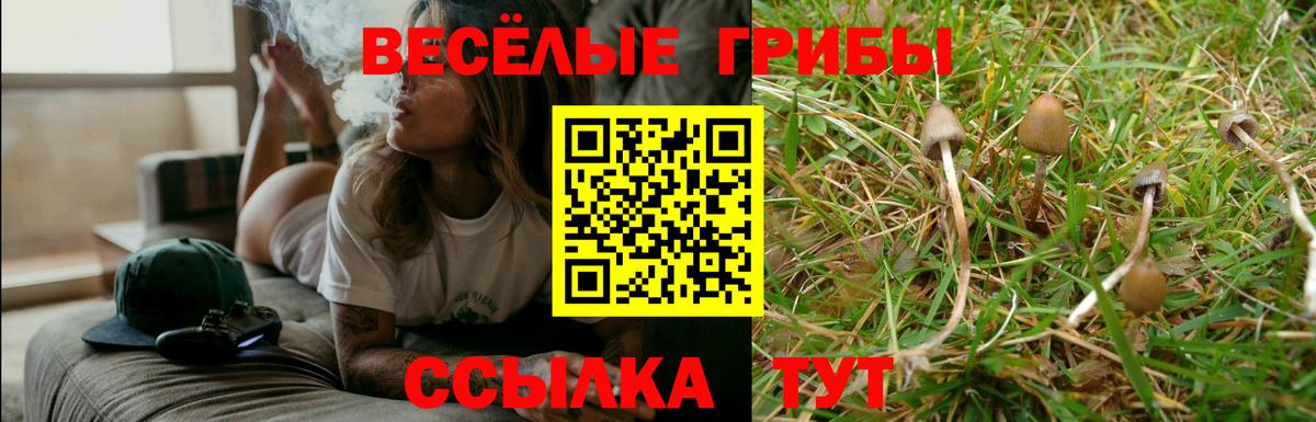Псилоцибиновые грибы Magic Shrooms Красноярск